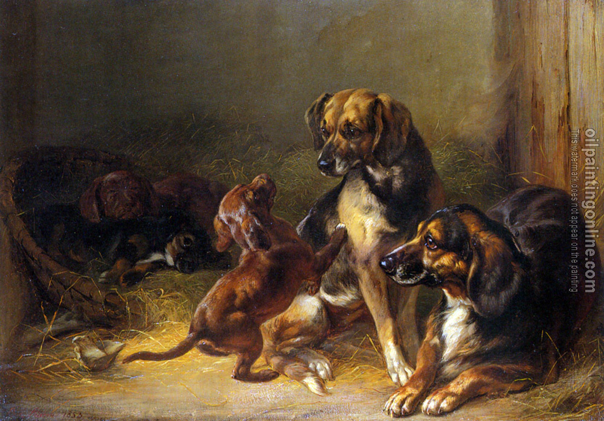 Adam, Benno - Dogs and Whelps